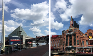 図１　Inner Harbor Baltimore National Aquariumと周辺の書店・飲食店